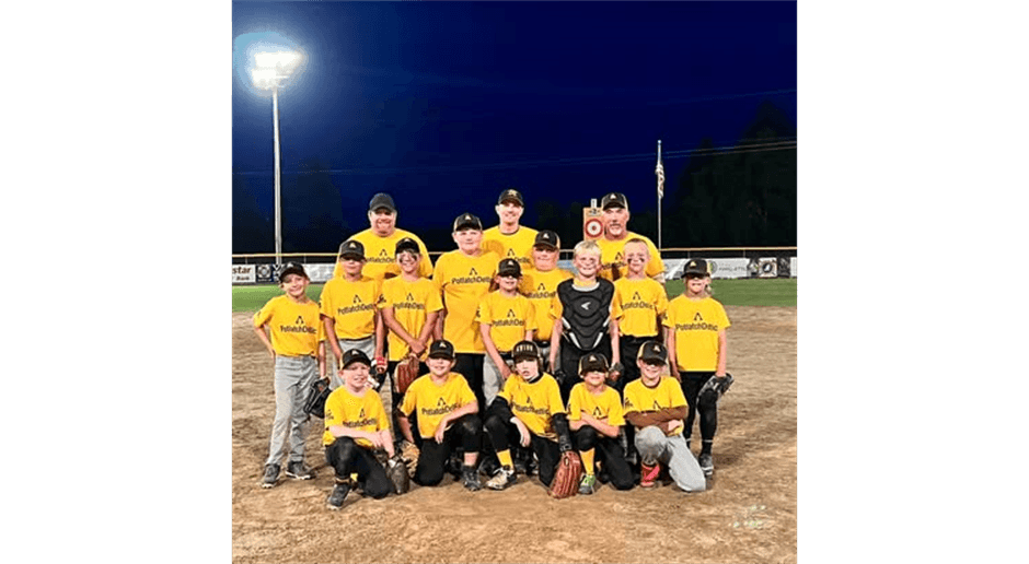 Gwinn Little League photo