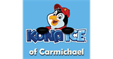 Sponsor logo