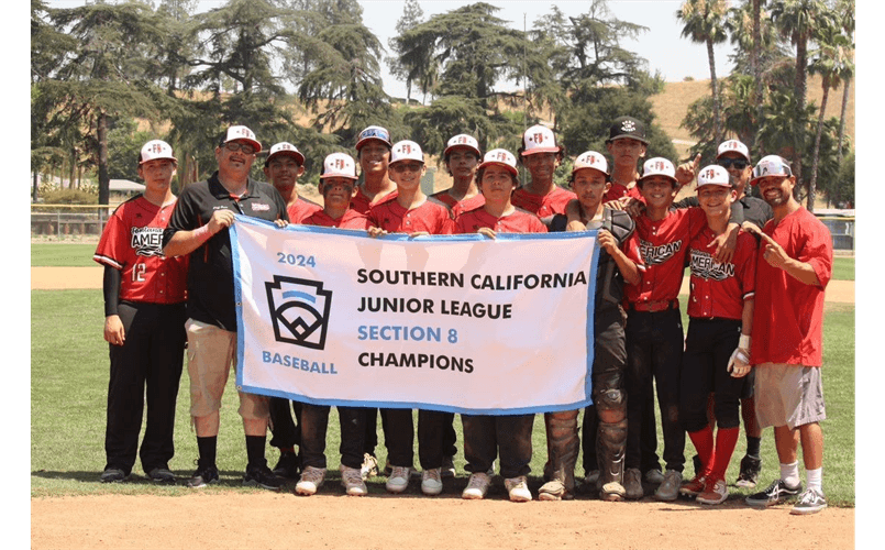 2024 Junior District 71 and Section 8 Champions