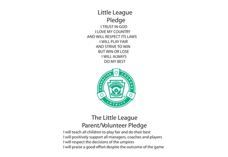Bartlett Little League hero