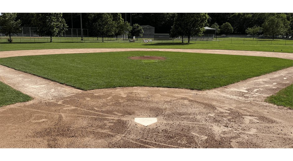 Waltham Youth Baseball