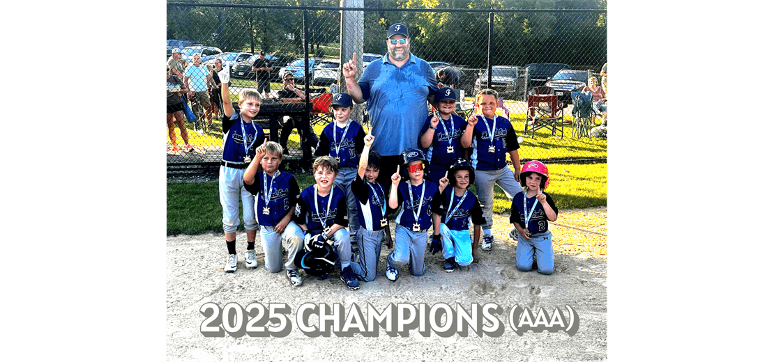 Fort Youth Baseball Little League photo
