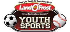 Sponsor logo