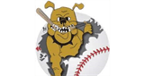 Sponsor logo