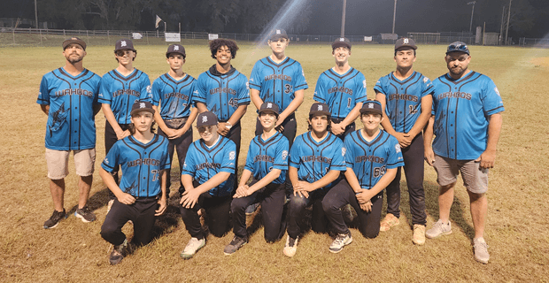 DLL Junior Baseball Top Team 2025