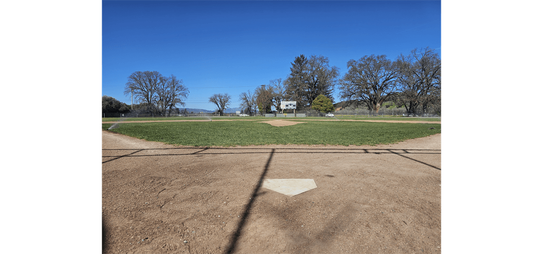Lynn Butler Field