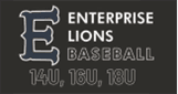 Sponsor logo