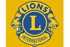 Sponsor logo