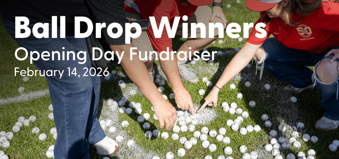 Ball Drop Winners