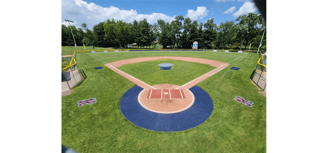 Major Field