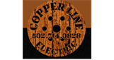 Sponsor logo