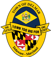 Delmar Little League Baseball logo