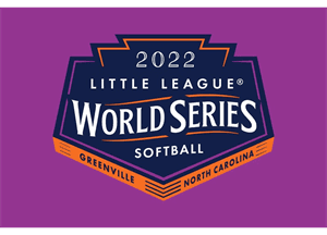 Delmar Little League Baseball hero