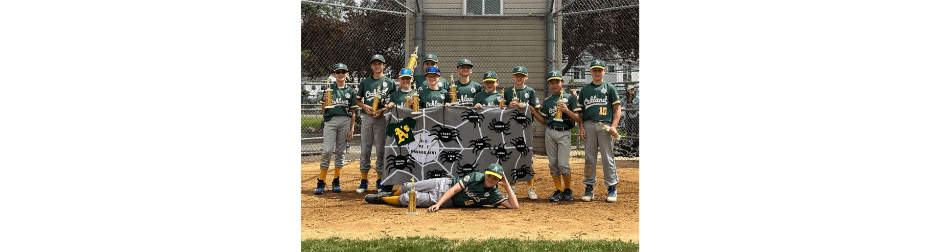 Baseball Majors Division Champs