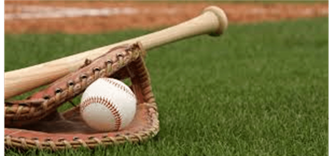 Gilbert Little League photo