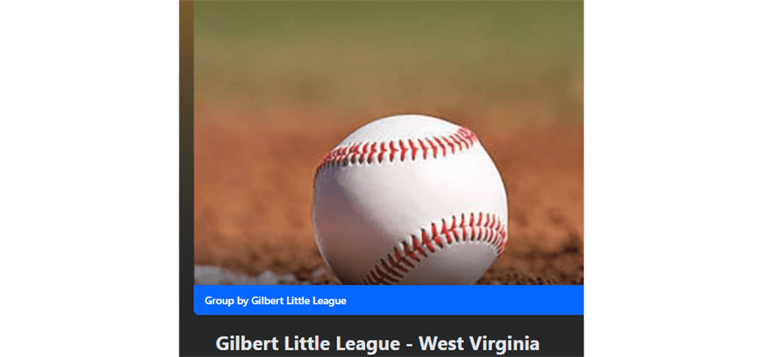 Gilbert Little League photo