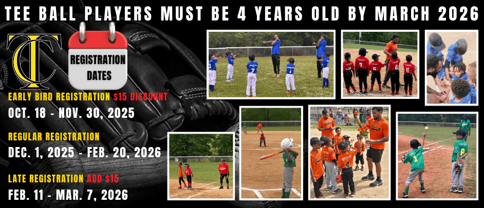 Twin City Baseball Little League photo