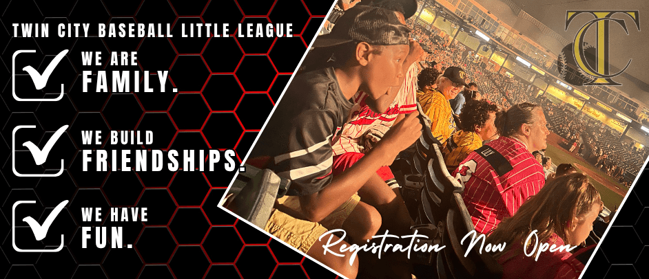 Twin City Baseball Little League photo