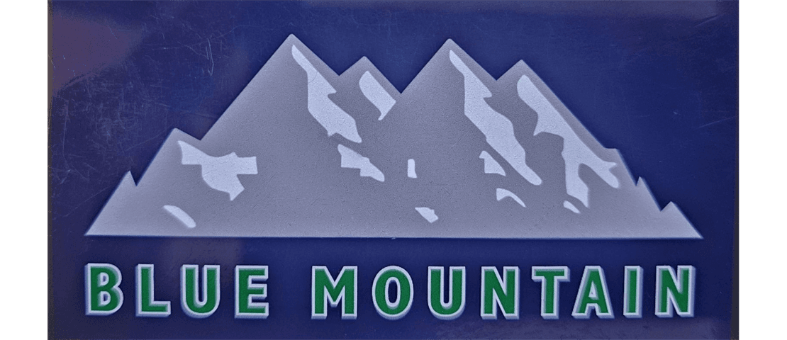 Blue Mountain Little League photo