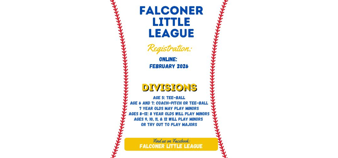 Falconer Little League photo