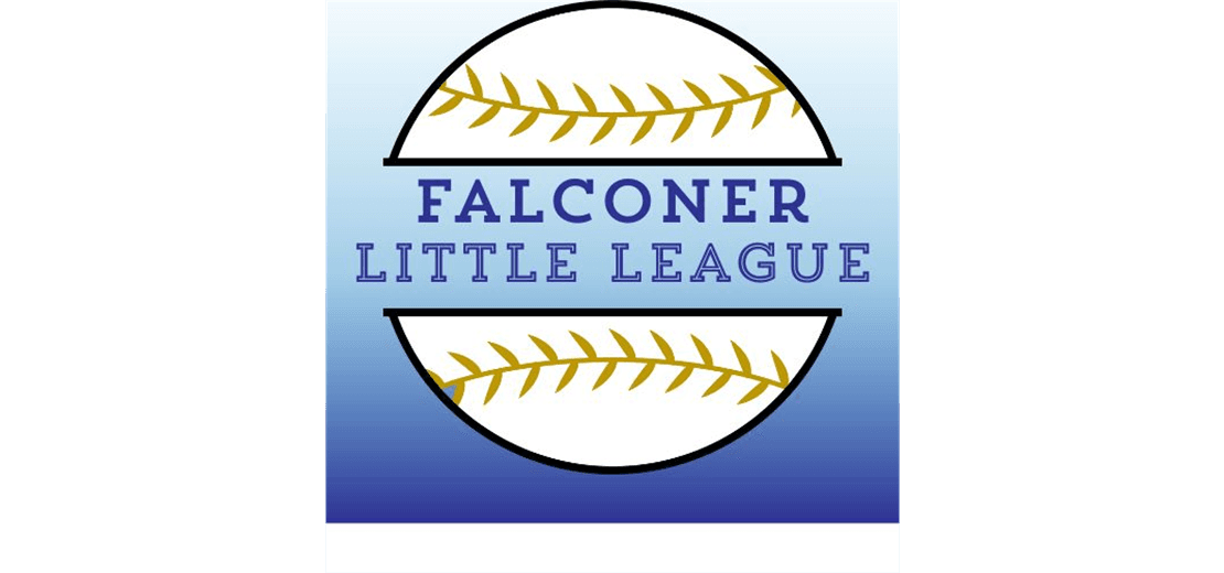 Falconer Little League photo