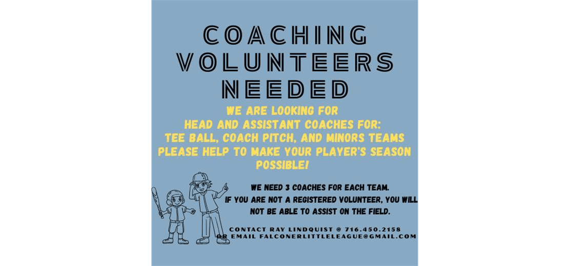 Falconer Little League photo