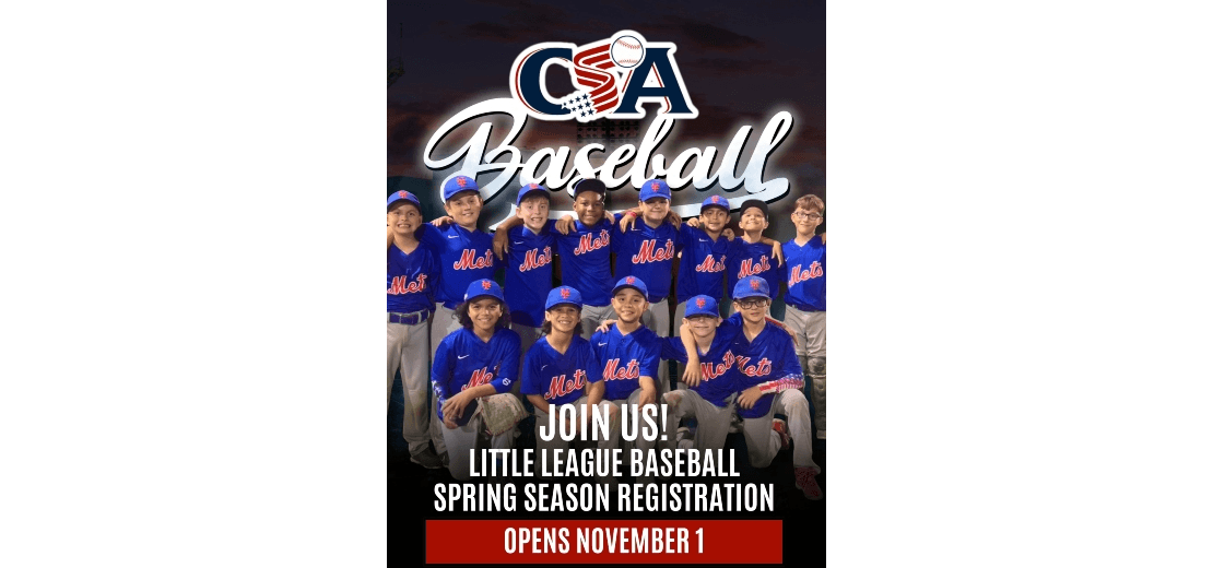 Coral Springs American Little League photo