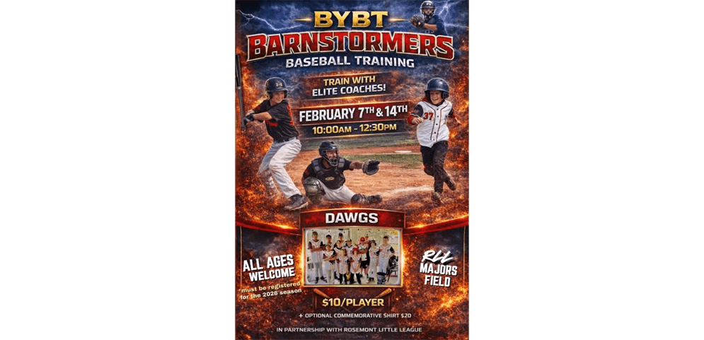 Rosemont Little League photo