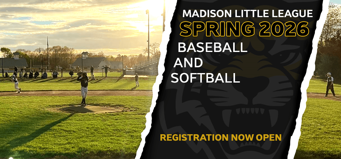 Madison Little League (Ct) photo