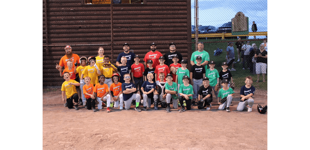 Fremont Little League photo