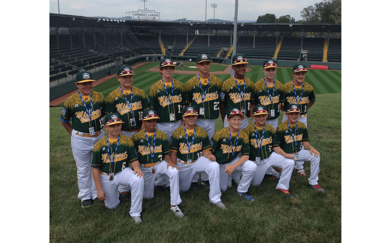 2015 WCLL World Series Team