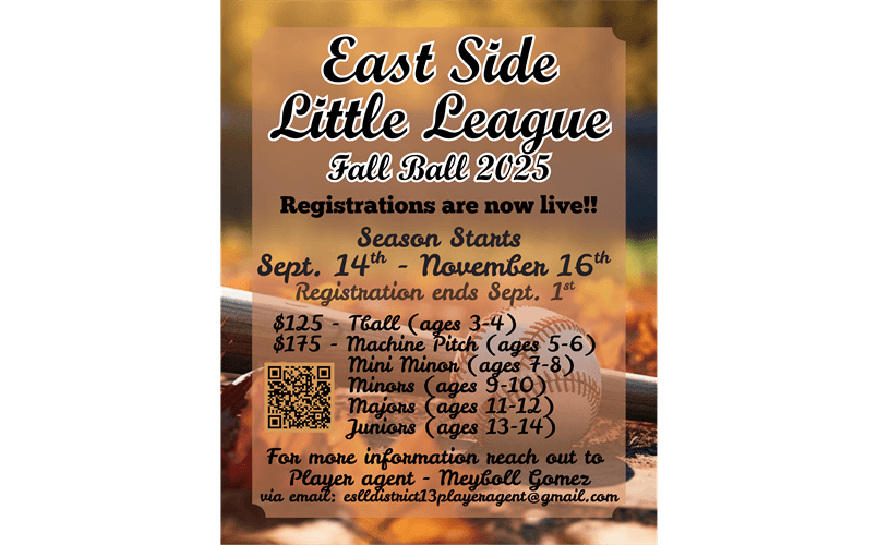 Eastside Little League photo