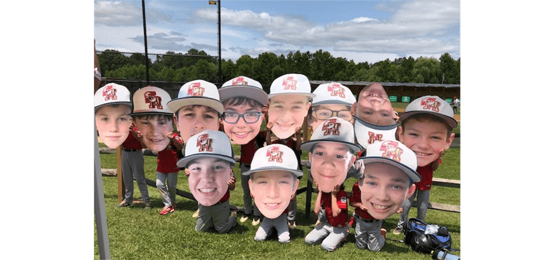 Annapolis Area Little League photo