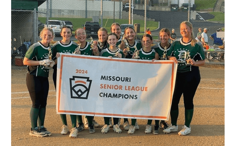 De Soto Little League photo