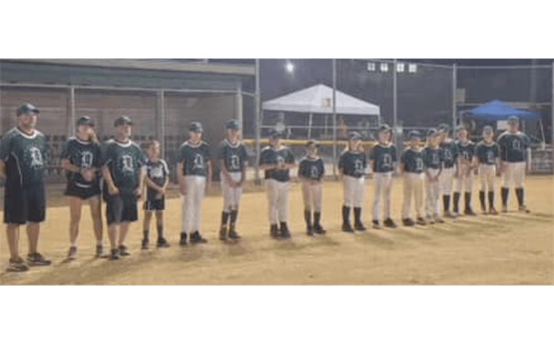 De Soto Little League photo