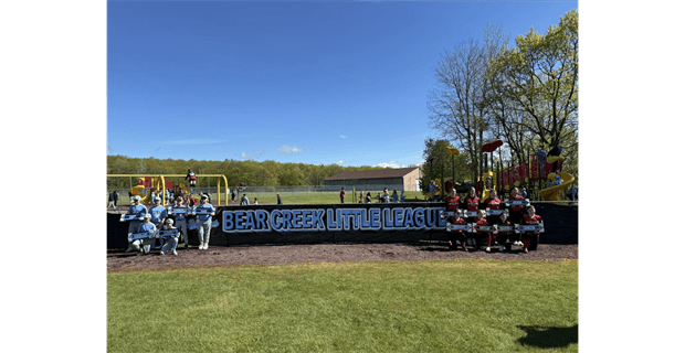 Bear Creek Little League photo