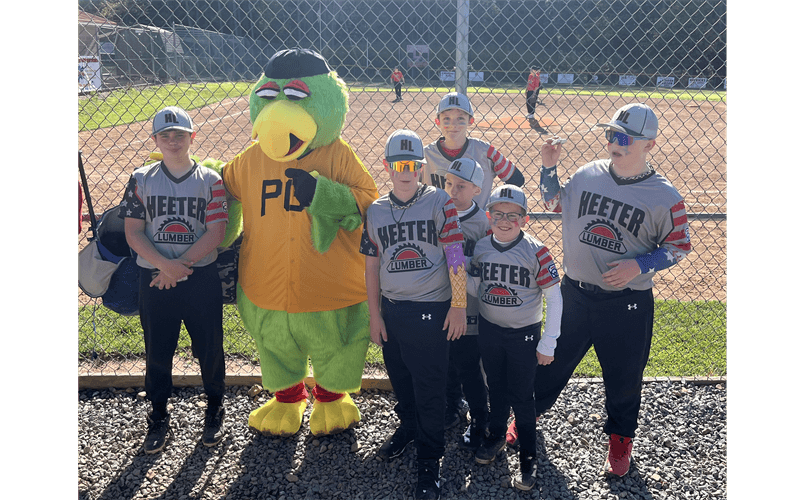 Southern Clarion County Little League photo