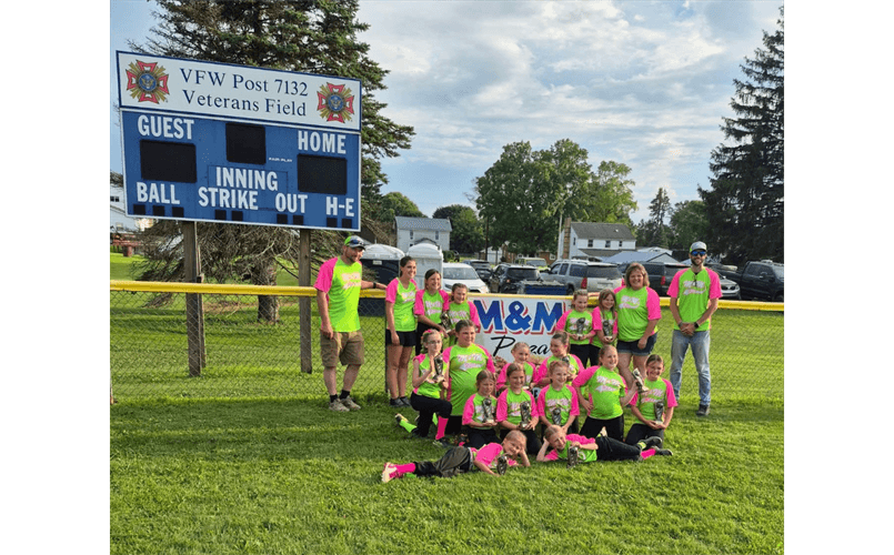 Southern Clarion County Little League photo