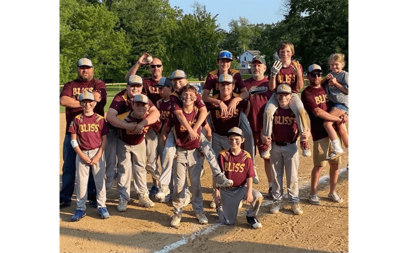 Southern Clarion County Little League photo