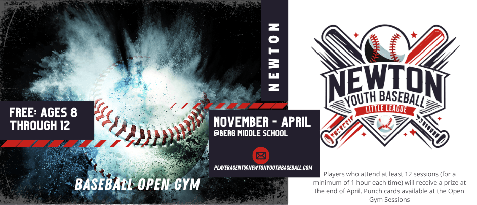 Newton Youth Baseball Little League photo