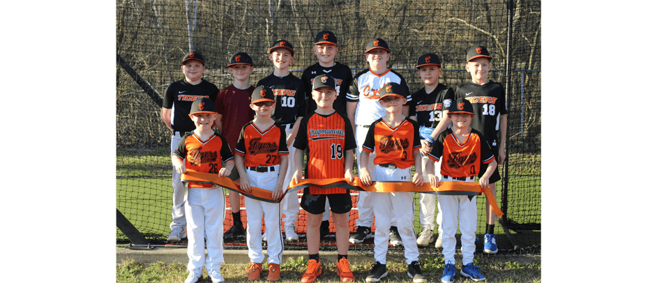 Chapmanville District Little League photo
