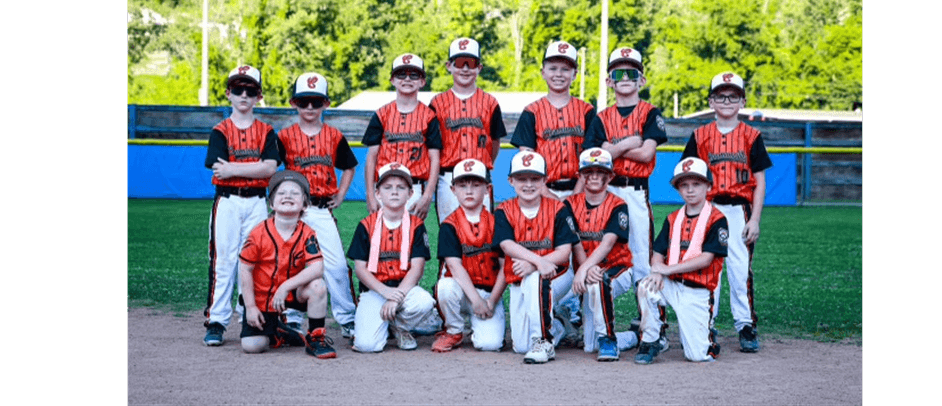 Chapmanville District Little League photo