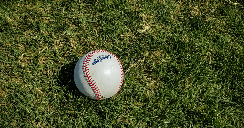 Westfield Little League photo