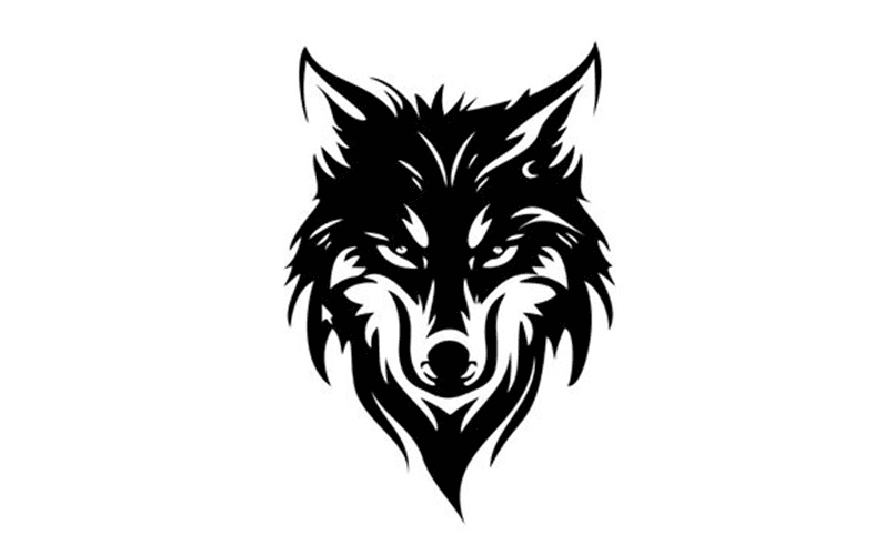 Csp Little League photo