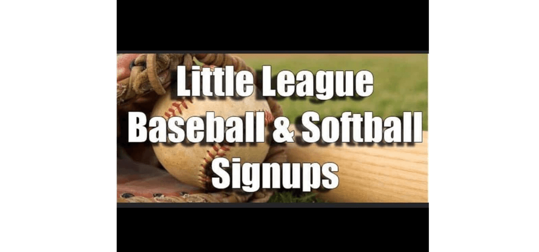 Harlan Little League photo