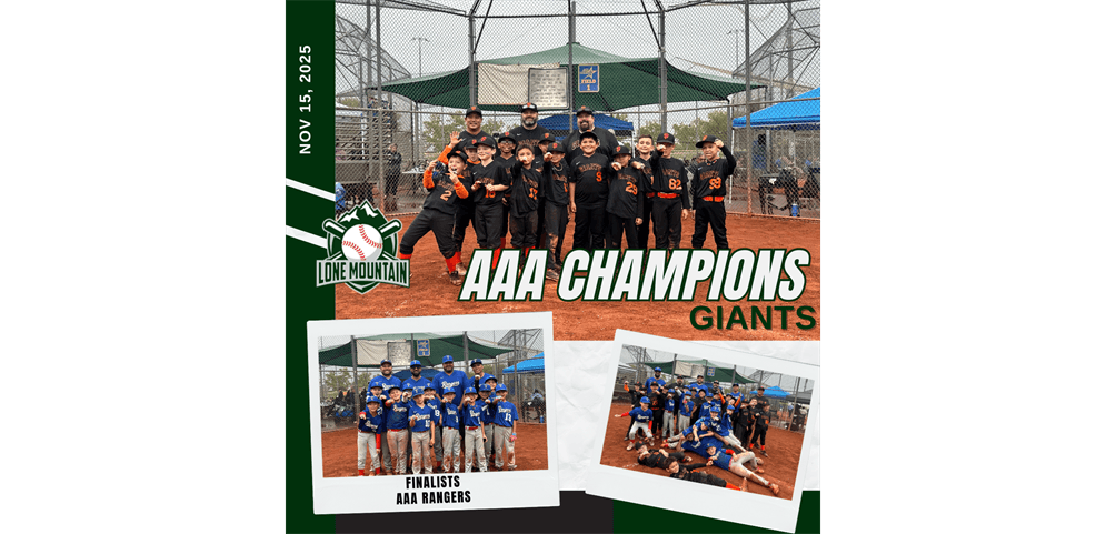 AAA Champions & Finalist