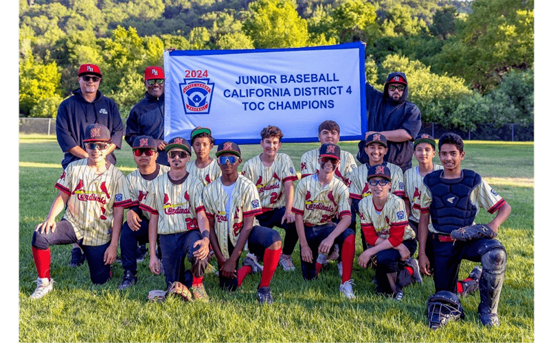 PHLL 2024 Junior Baseball CA D4 TOC Champions