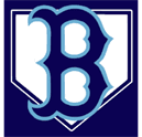 Blue Mountain Area Baseball logo
