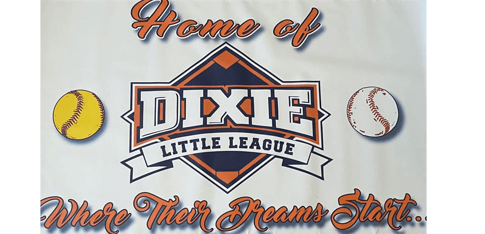 Dixie Little League photo