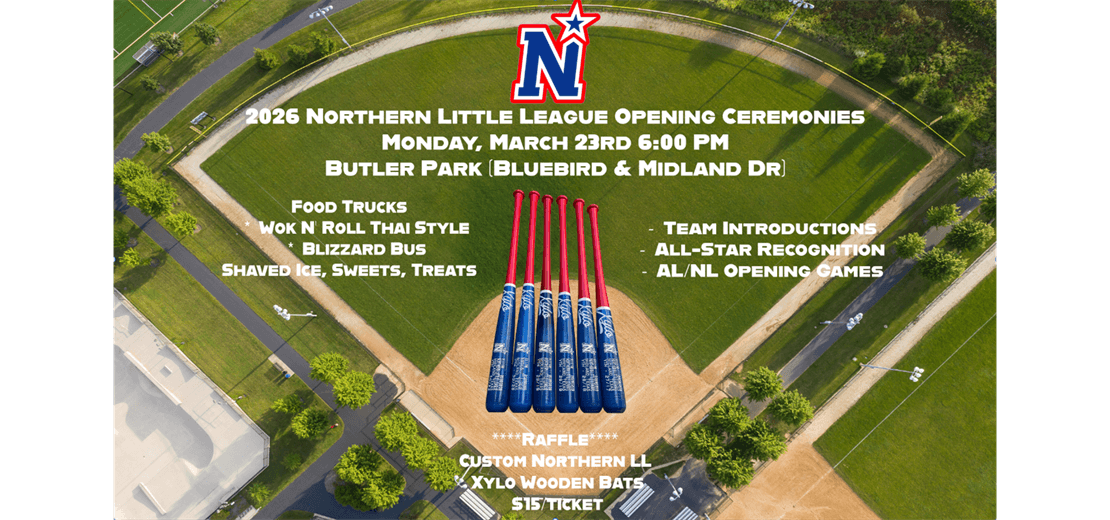 Northern Little League photo